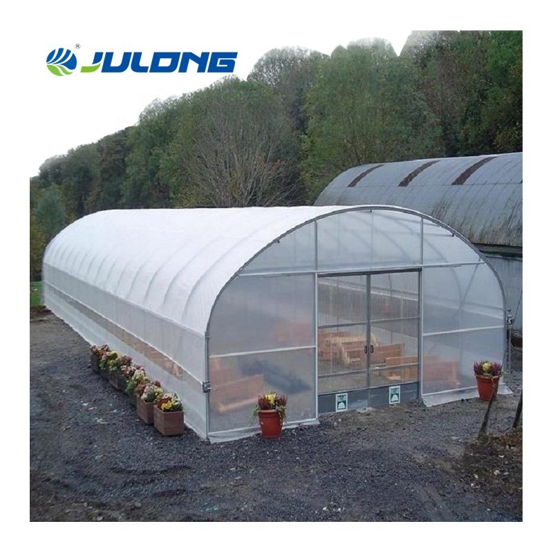 Galvanized steel Frame greenhouse design arches film single span greenhouse agricultural greenhouse