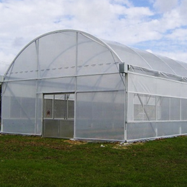 Galvanized steel Frame greenhouse design arches film single span greenhouse agricultural greenhouse