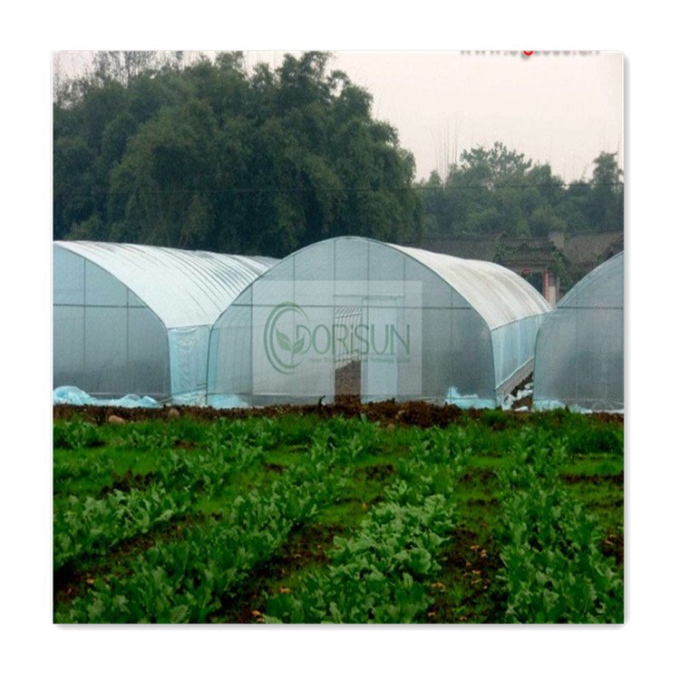 Large Size High Tunnel Agricultural Greenhouse for Tomato Vegetable Seeds Growing Greenhouse