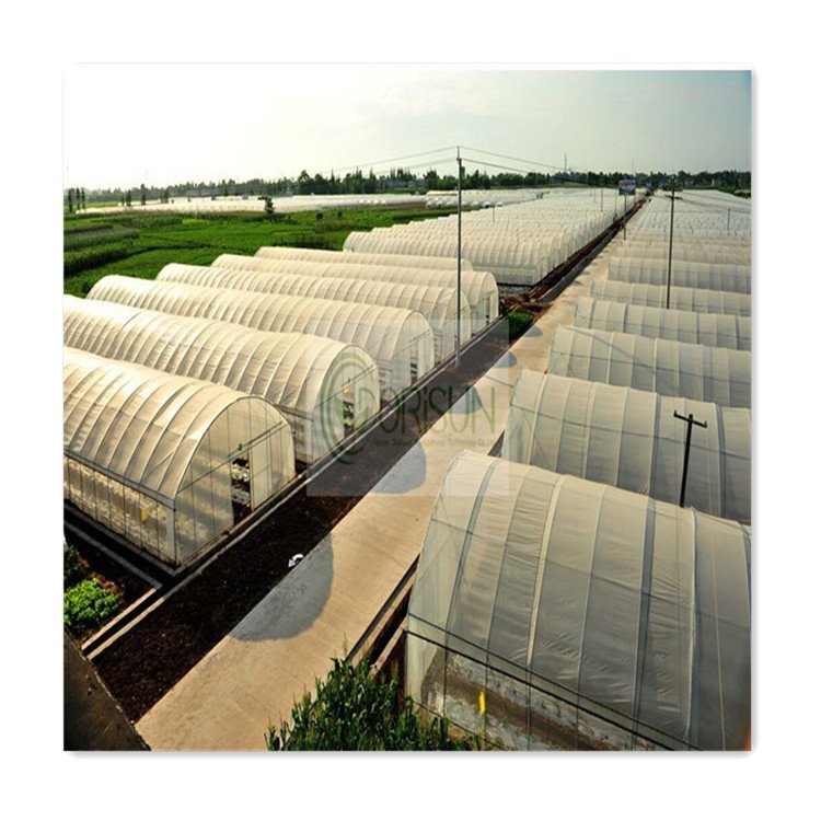 Large Size High Tunnel Agricultural Greenhouse for Tomato Vegetable Seeds Growing Greenhouse