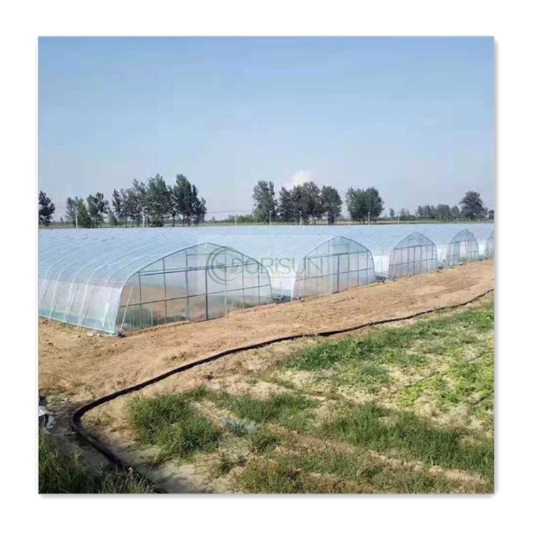Large Size High Tunnel Agricultural Greenhouse for Tomato Vegetable Seeds Growing Greenhouse