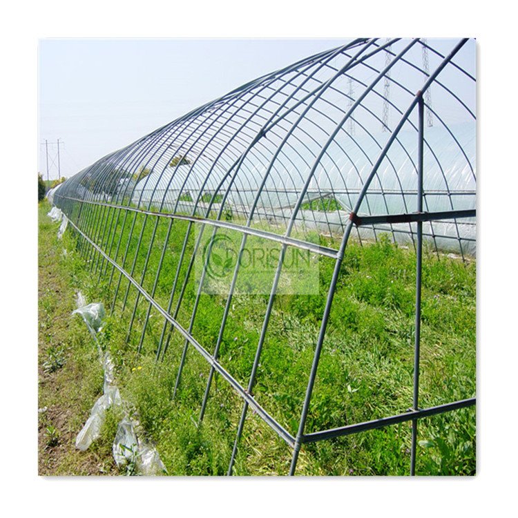 Large Size High Tunnel Agricultural Greenhouse for Tomato Vegetable Seeds Growing Greenhouse