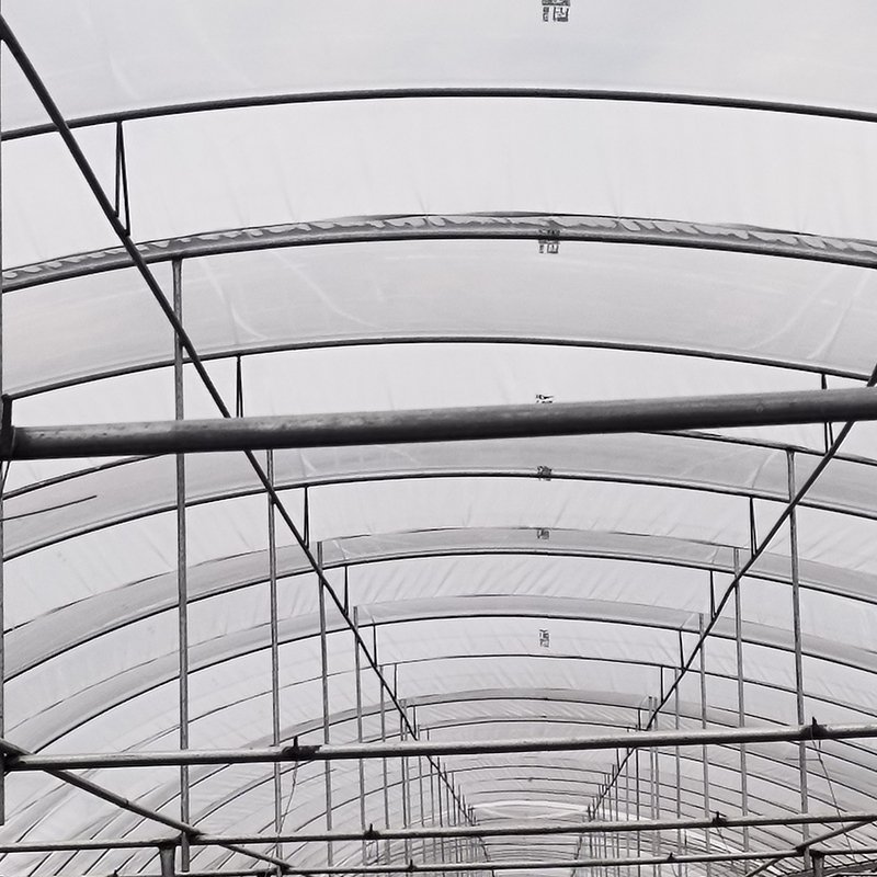 Best Quality Frame Plastic Film Multi-span Greenhouse For Sale