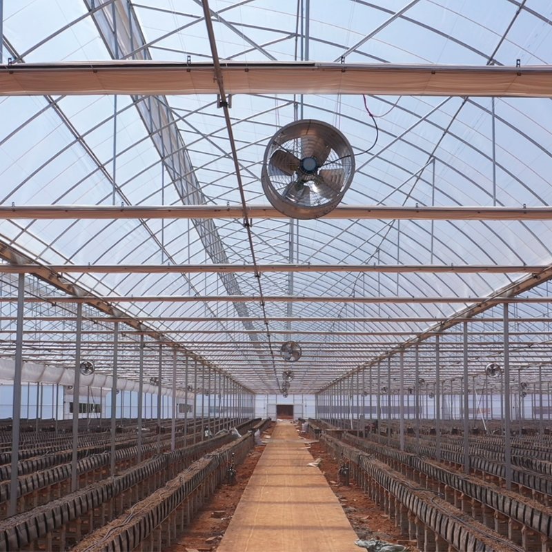 Best Quality Frame Plastic Film Multi-span Greenhouse For Sale