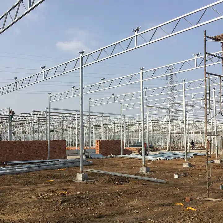 China Honest Factory Agricultural Greenhouse Polycarbonate Mini Small Greenhouse Green House Tent
