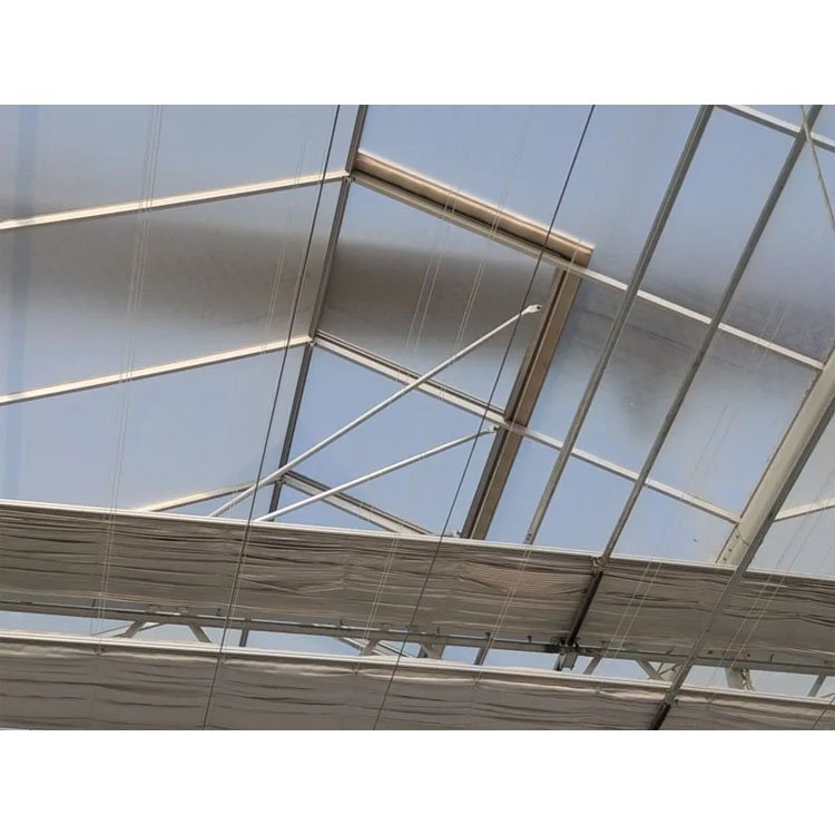 China Honest Factory Agricultural Greenhouse Polycarbonate Mini Small Greenhouse Green House Tent
