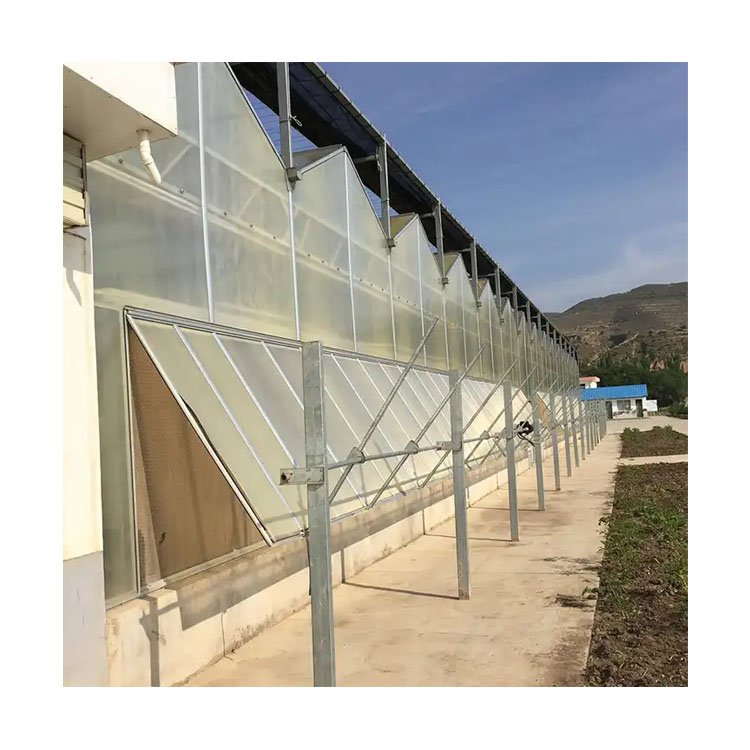 China Honest Factory Agricultural Greenhouse Polycarbonate Mini Small Greenhouse Green House Tent