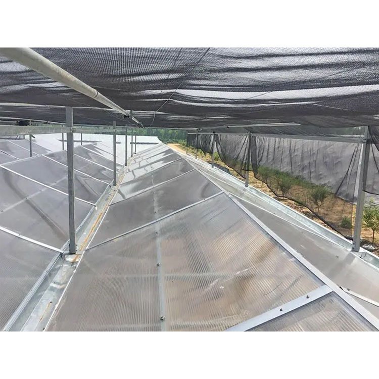 China Honest Factory Agricultural Greenhouse Polycarbonate Mini Small Greenhouse Green House Tent