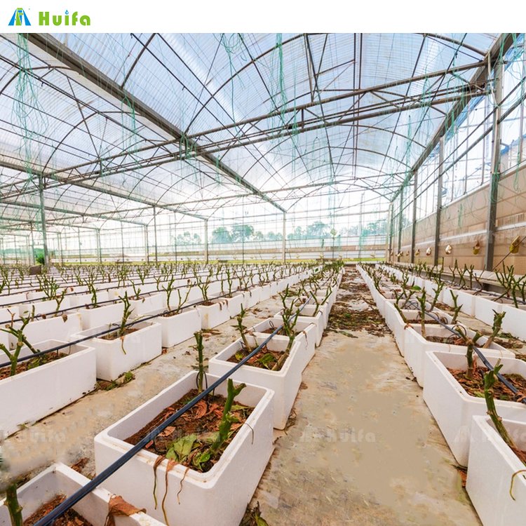 Serre Agricole Plastic Film Greenhouse With Hydroponics System Lettuce Vegetable Greenhouses Supply Growing System For Sale