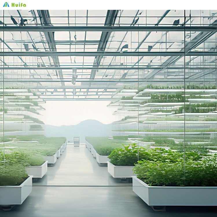 Serre Agricole Plastic Film Greenhouse With Hydroponics System Lettuce Vegetable Greenhouses Supply Growing System For Sale