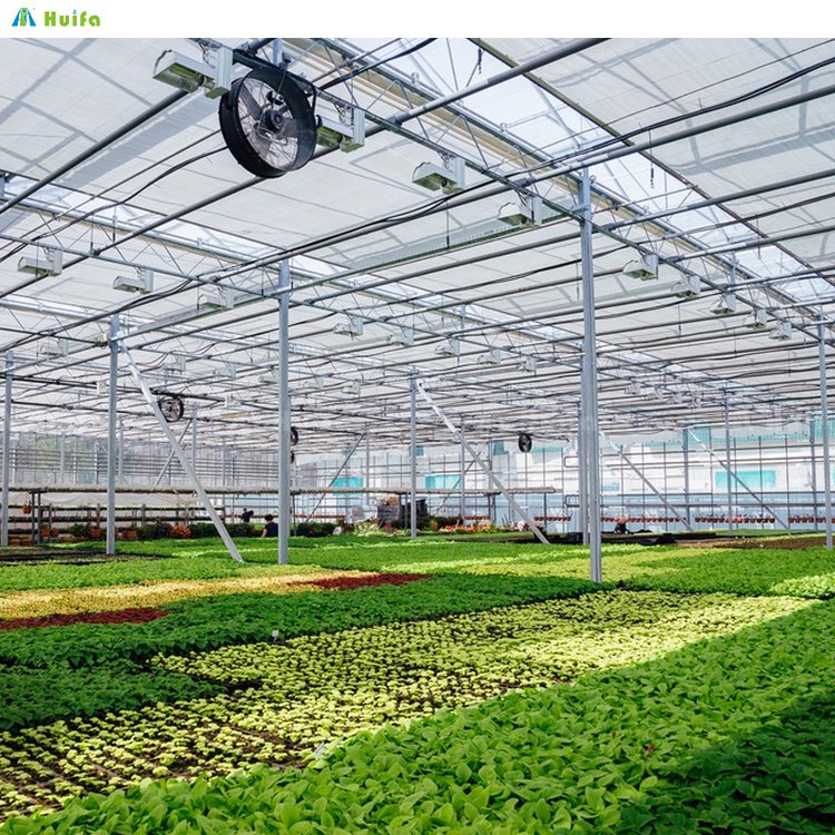 Serre Agricole Plastic Film Greenhouse With Hydroponics System Lettuce Vegetable Greenhouses Supply Growing System For Sale