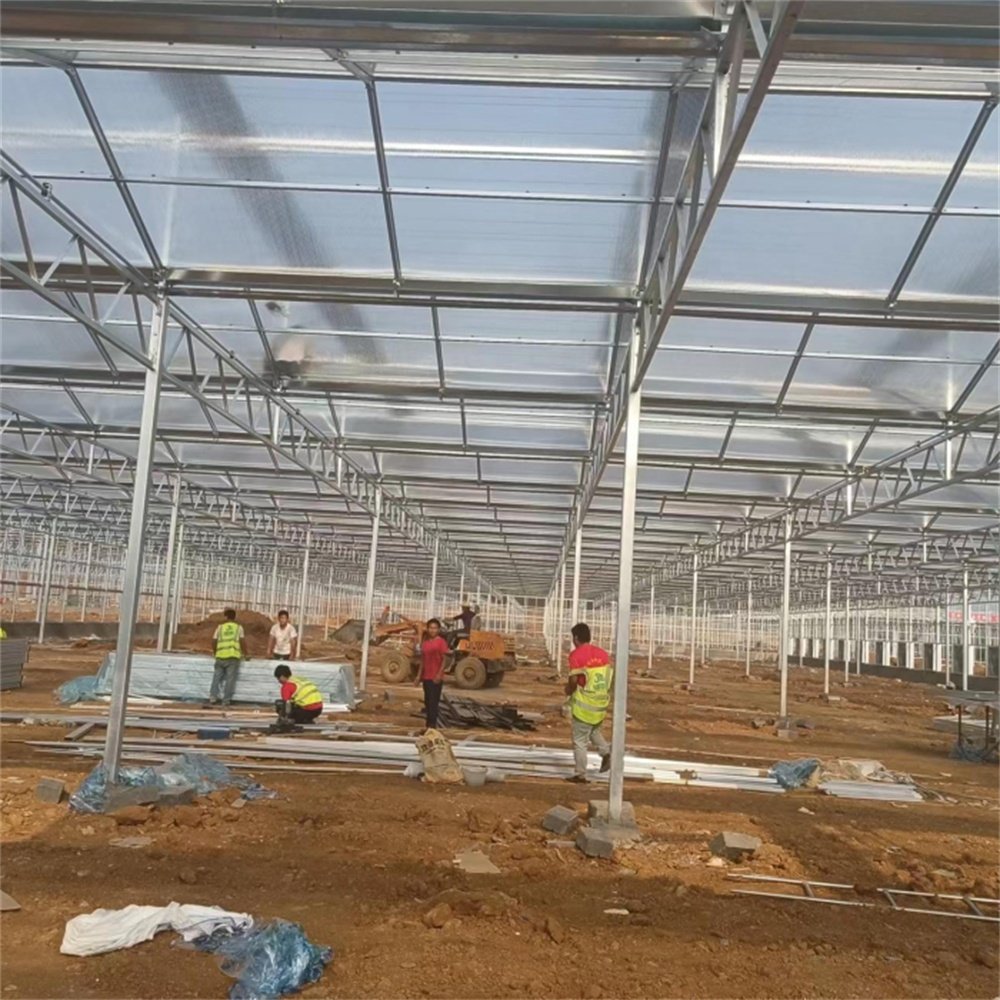 Multifunctional Smart Sustainable Agriculture Greenhouse Glass Solar