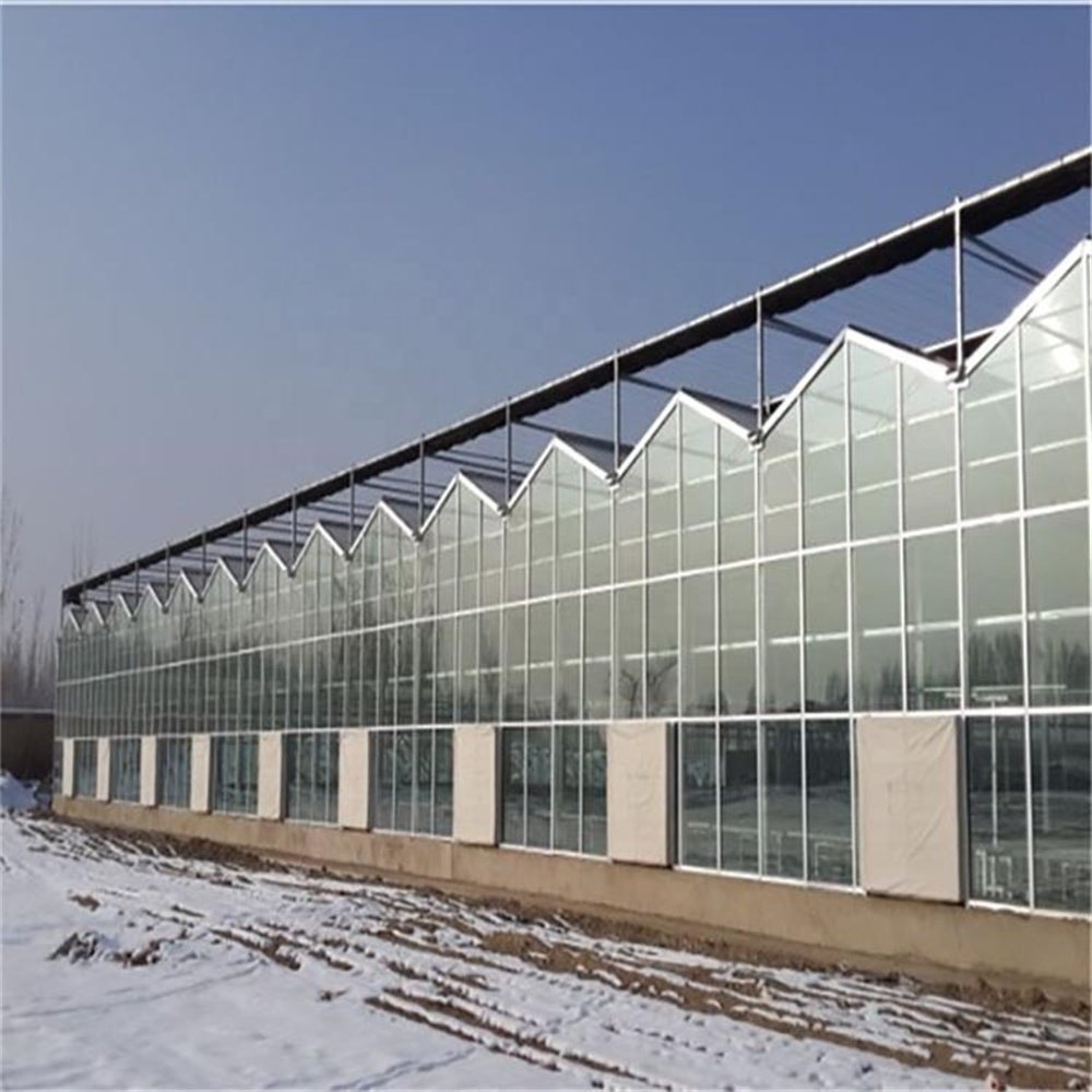 Multifunctional Smart Sustainable Agriculture Greenhouse Glass Solar