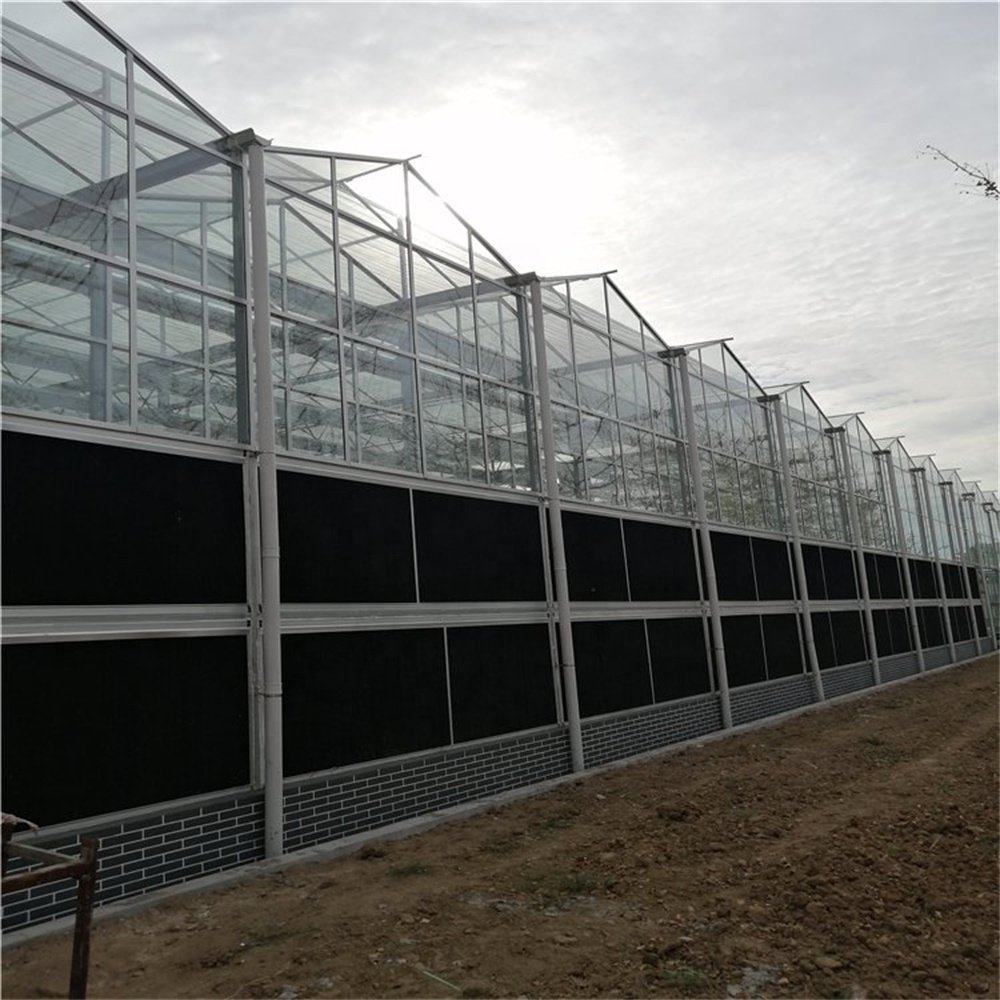 Multifunctional Smart Sustainable Agriculture Greenhouse Glass Solar