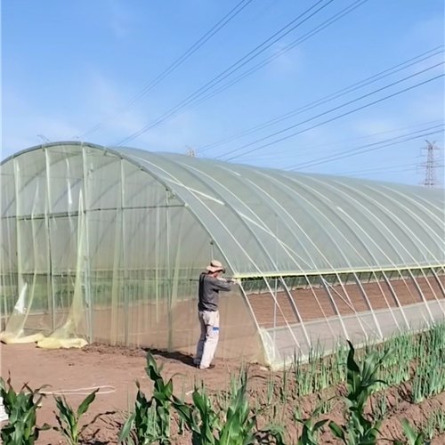 High Quality Agricultural Tunnel Greenhouse Film Greenhouse Cover Plastic Film for Agriculture