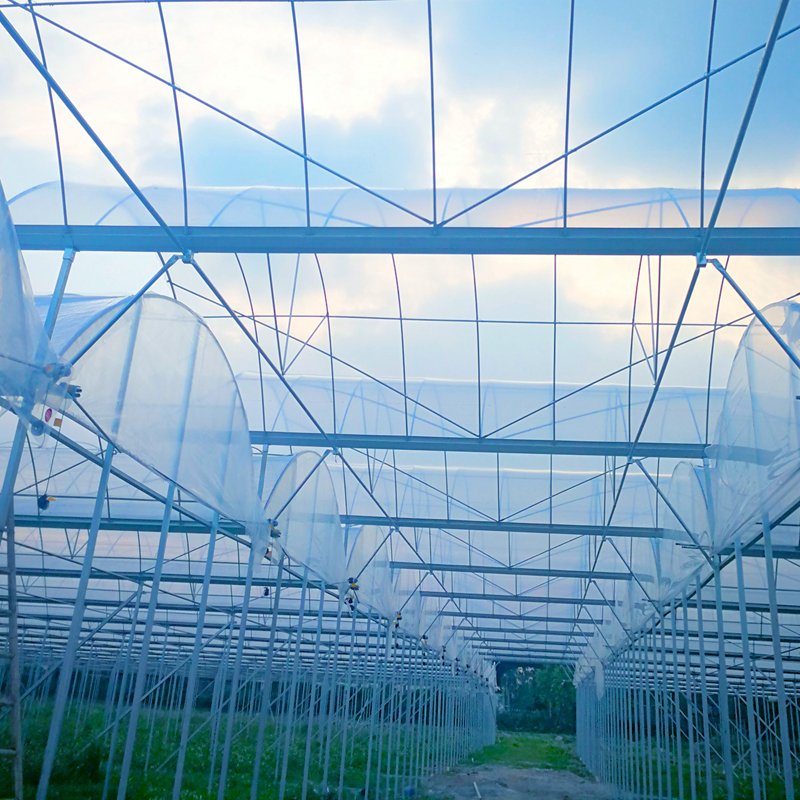 High Quality Agricultural Tunnel Greenhouse Film Greenhouse Cover Plastic Film for Agriculture