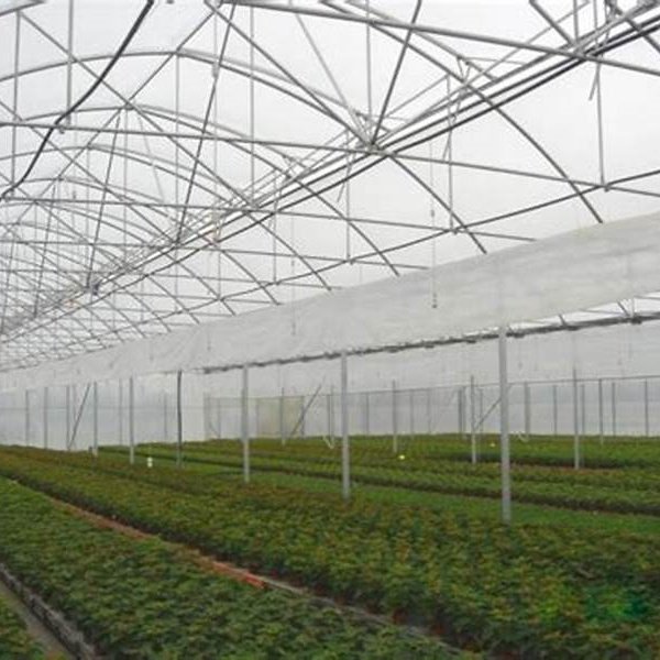 Hydroponic Growing System Green house Multi Span agricultural greenhouses