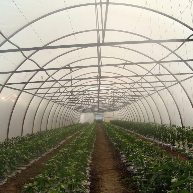 Hydroponic Growing System Green house Multi Span agricultural greenhouses