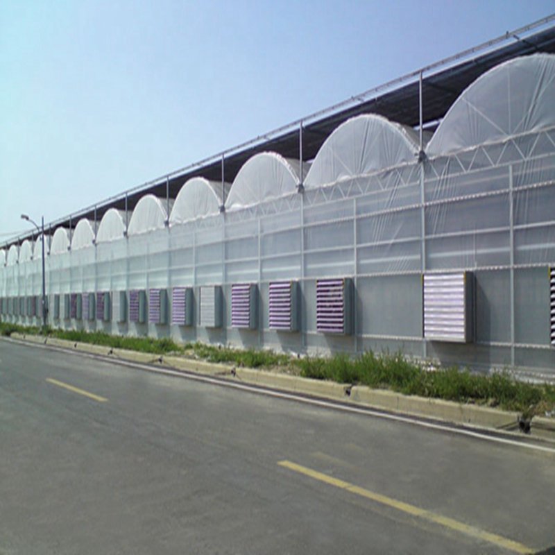 Hydroponic Growing System Green house Multi Span agricultural greenhouses