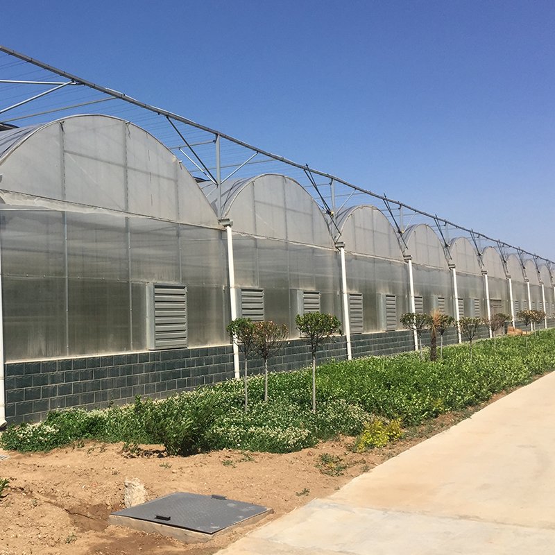 Best-selling Agricultural Multi-span Film Greenhouses Large Electrical or Water Heating System Inside or Outside Shading System