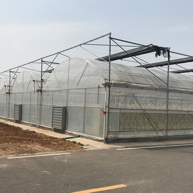 Best-selling Agricultural Multi-span Film Greenhouses Large Electrical or Water Heating System Inside or Outside Shading System