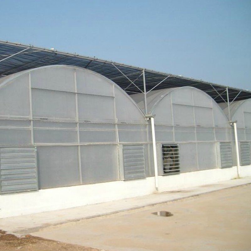 Best-selling Agricultural Multi-span Film Greenhouses Large Electrical or Water Heating System Inside or Outside Shading System