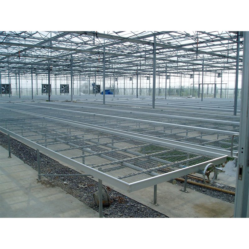 Greenhouse customized size agricultural greenhouse wire net seedling bench for young plant