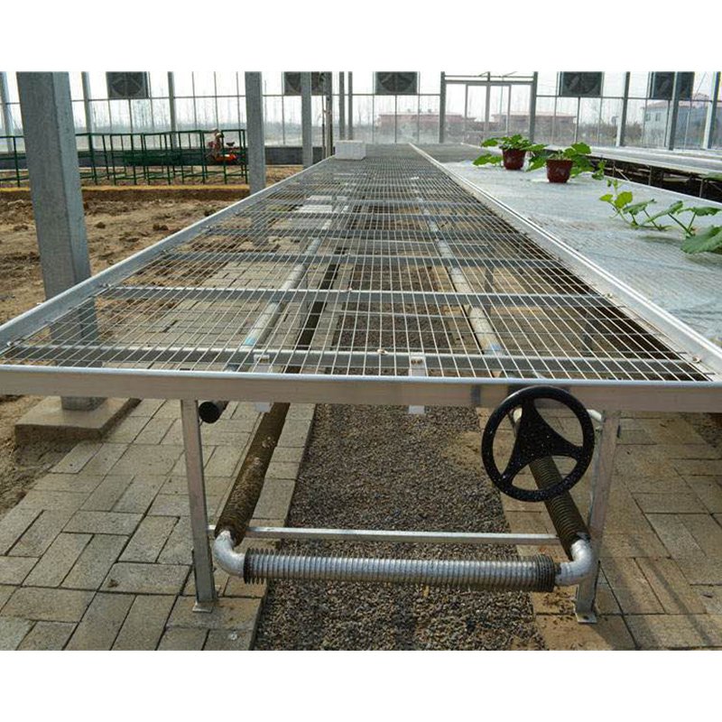 Greenhouse customized size agricultural greenhouse wire net seedling bench for young plant