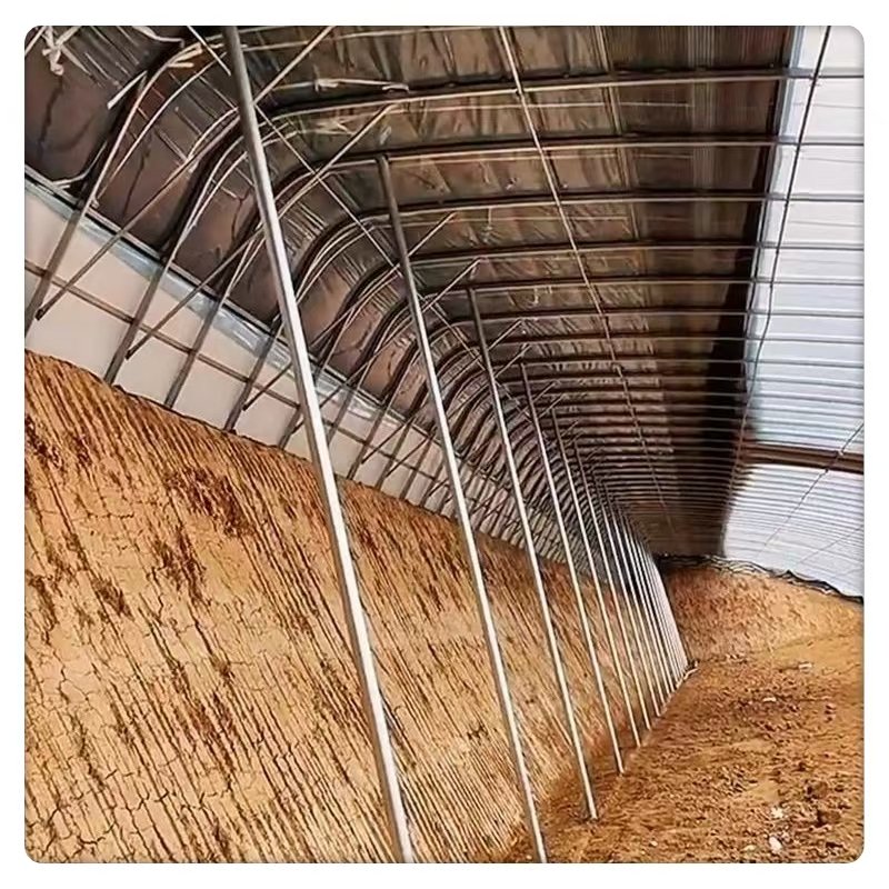 Integrated System Plant Usage Durable Steel Film PE Plastic Materials Ventilation Motor Modern Large Commercial Solar Greenhouse