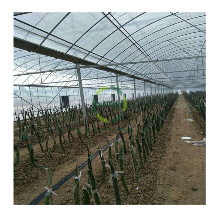 Commercial Agricultural Green House Use Hydroponic System Invernaderos For Vegetable Growing