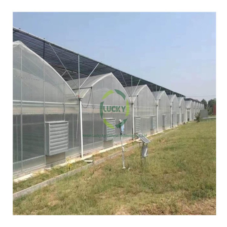 Commercial Agricultural Green House Use Hydroponic System Invernaderos For Vegetable Growing