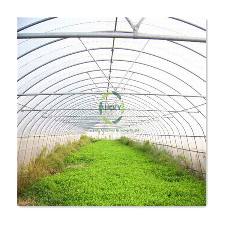 Agriculture Commercial High Tunnel Plastic Cover Walk In Greenhouse Garden Greenhouse Grow Tent Hobby Greenhouse