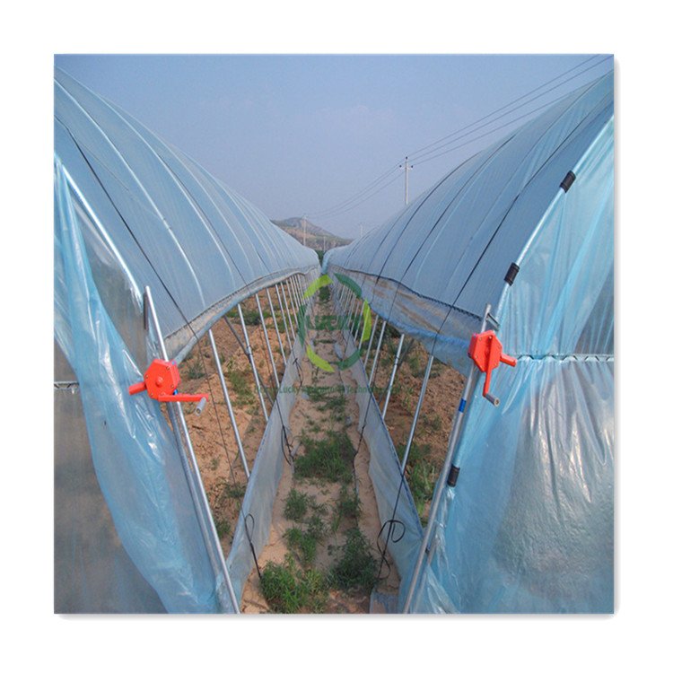 Agriculture Commercial High Tunnel Plastic Cover Walk In Greenhouse Garden Greenhouse Grow Tent Hobby Greenhouse