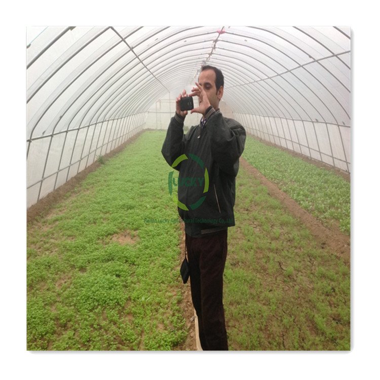 Agriculture Commercial High Tunnel Plastic Cover Walk In Greenhouse Garden Greenhouse Grow Tent Hobby Greenhouse