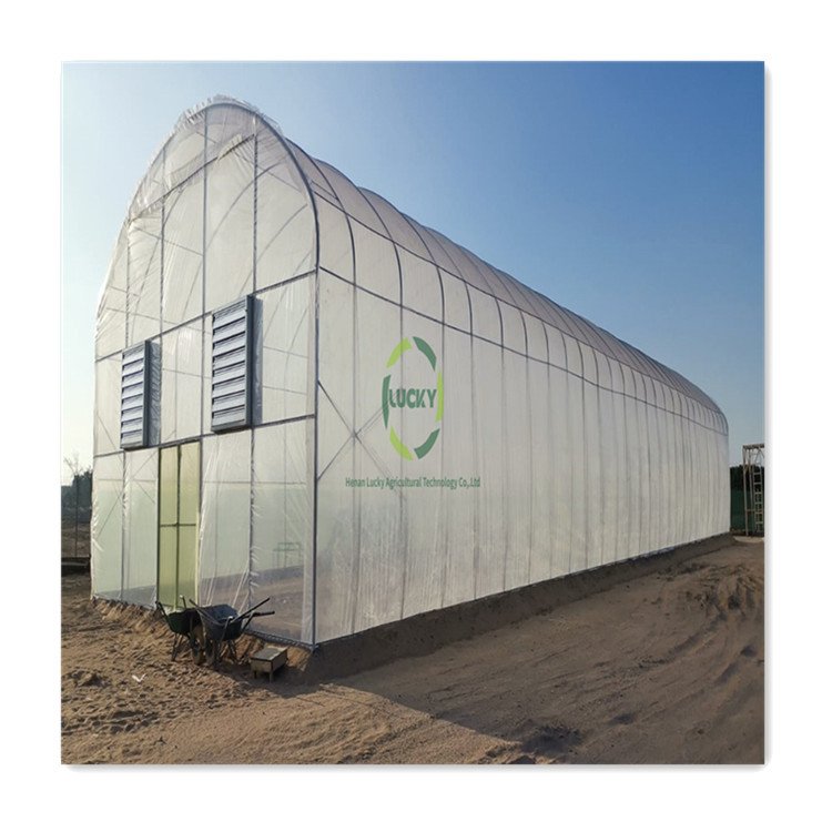 Agriculture Commercial High Tunnel Plastic Cover Walk In Greenhouse Garden Greenhouse Grow Tent Hobby Greenhouse