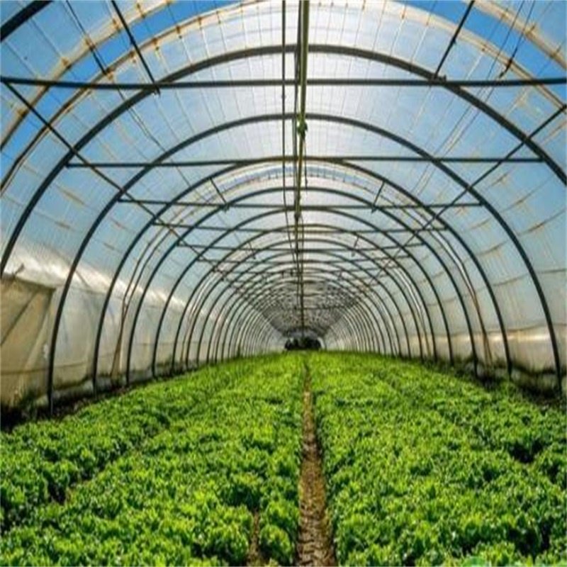 Low cost agricultural greenhouse for sale/tower garden/aduaponics