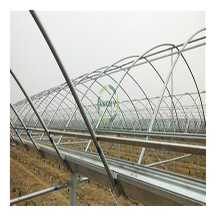 Customizable Prefab Grow Medical Plant Poly Carbonate Poly Tunnel Greenhouse With Compression Spring Circlip Slot
