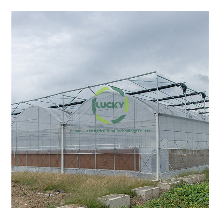 Customizable Prefab Grow Medical Plant Poly Carbonate Poly Tunnel Greenhouse With Compression Spring Circlip Slot