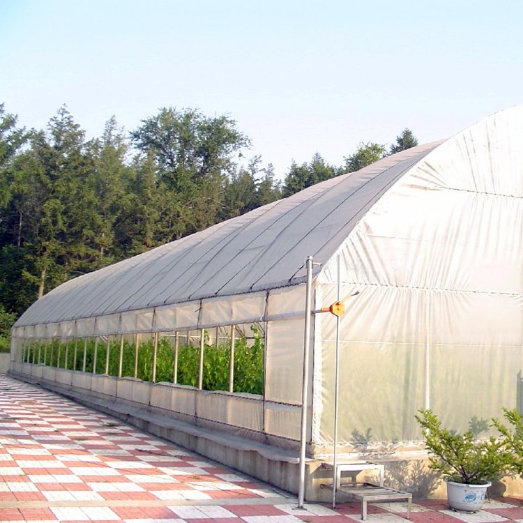 Low Cost Hoops Tunnel Arch Pipes Green House Kit Gable Front Greenhouse for Strawberry Rose