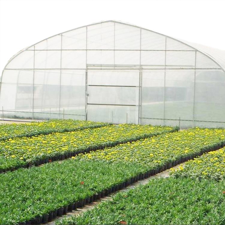 Low Cost Hoops Tunnel Arch Pipes Green House Kit Gable Front Greenhouse for Strawberry Rose