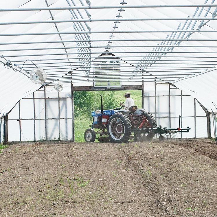 Low Cost Hoops Tunnel Arch Pipes Green House Kit Gable Front Greenhouse for Strawberry Rose