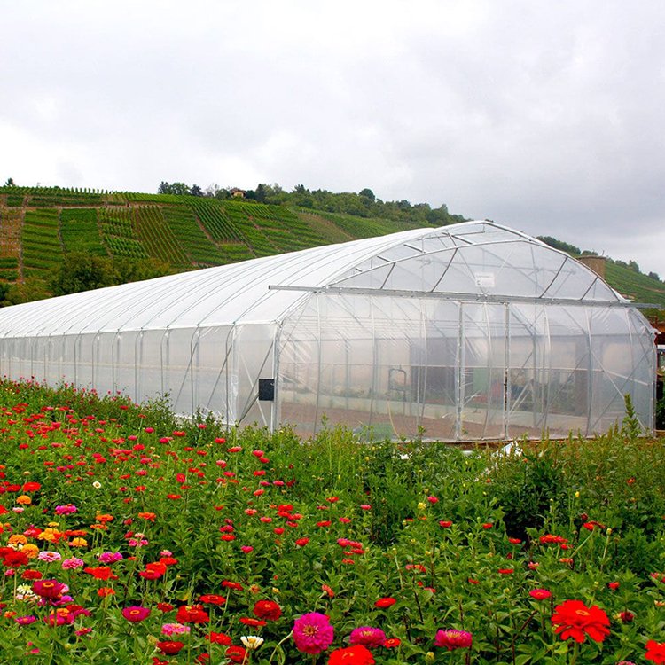Low Cost Hoops Tunnel Arch Pipes Green House Kit Gable Front Greenhouse for Strawberry Rose