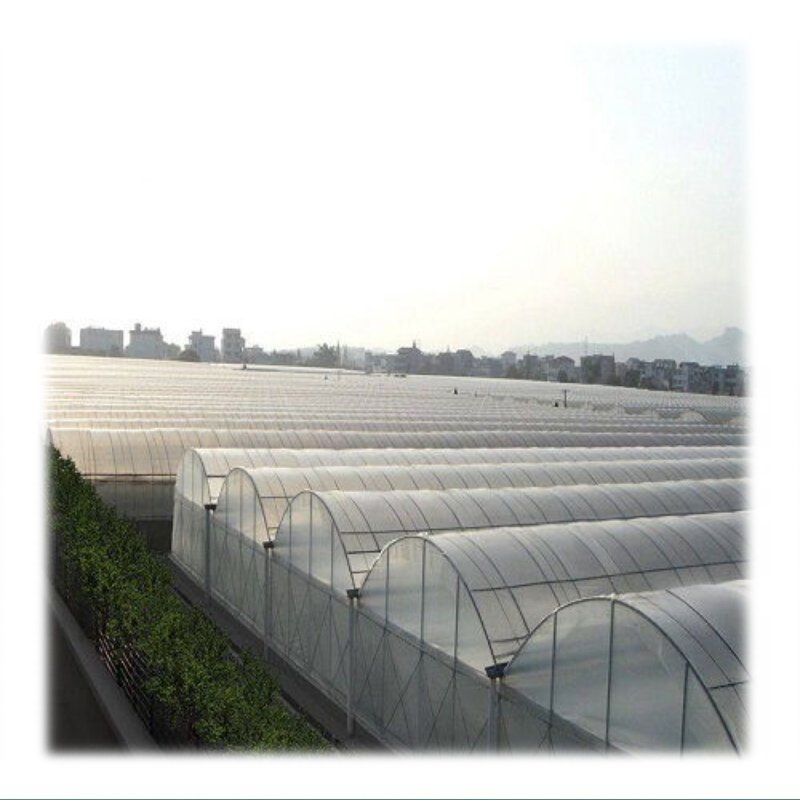 Single-span Tunnel Plastic Film Greenhouse Agricultural Greenhouses blackout greenhouse