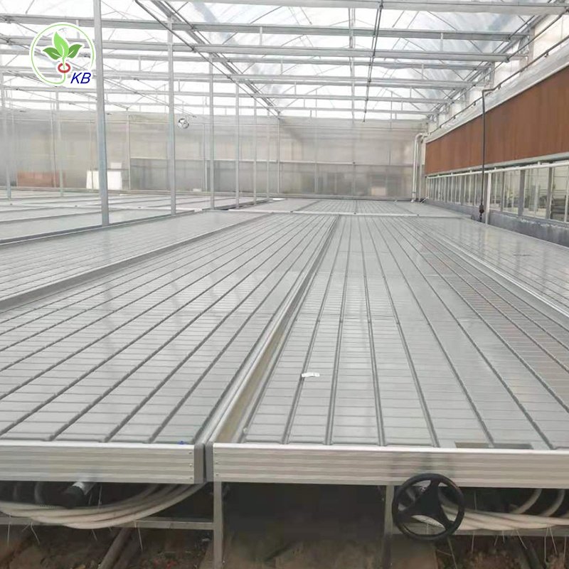 Abs Agricultural Greenhouses rolling bench grow table