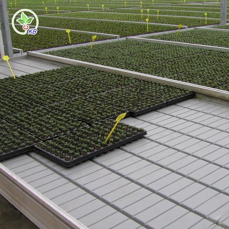 Abs Agricultural Greenhouses rolling bench grow table