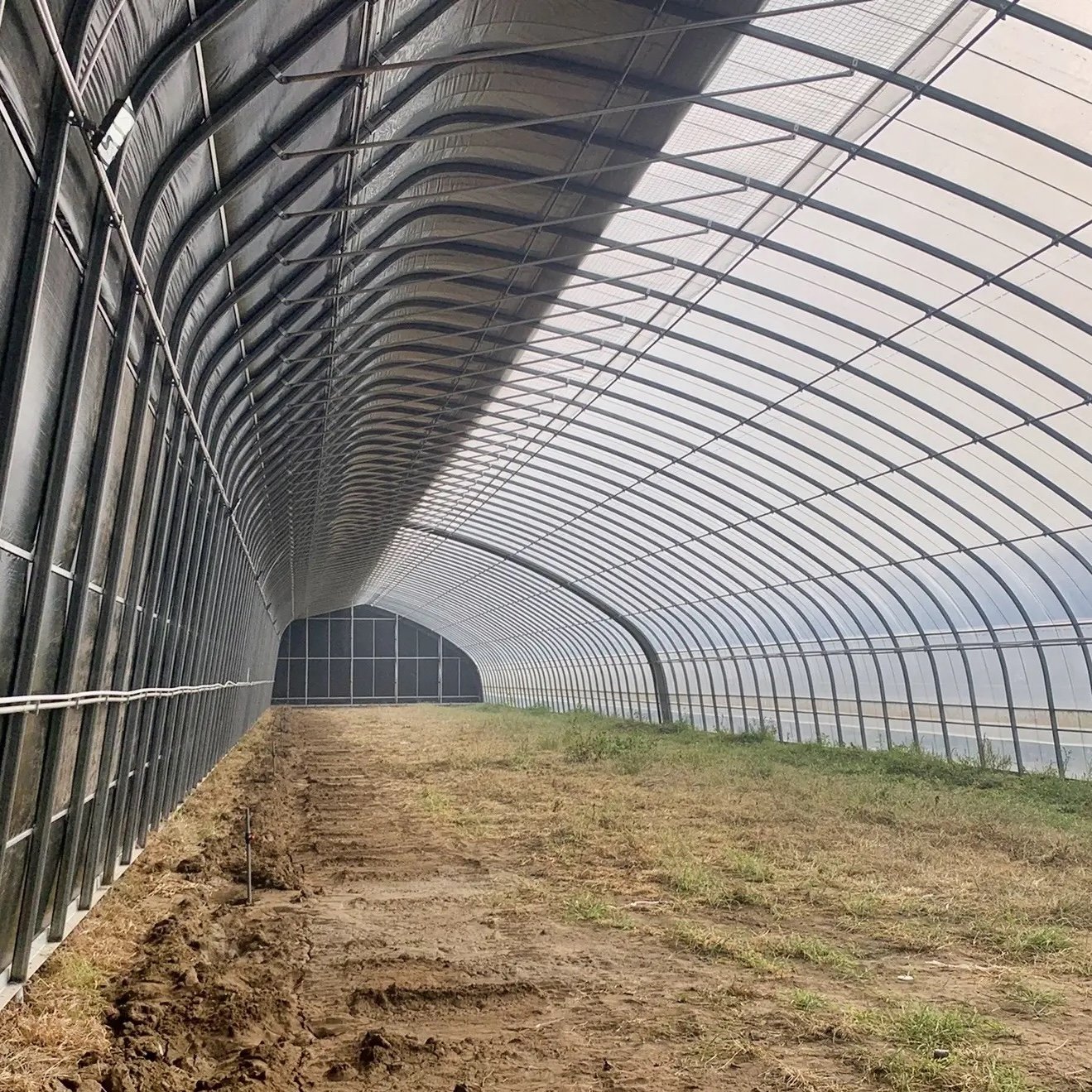 Greenhouses China Custom Green House For Planting Single-span Tunnel Greenhouse For Agriculture Agricultural Greenhouses For Sal