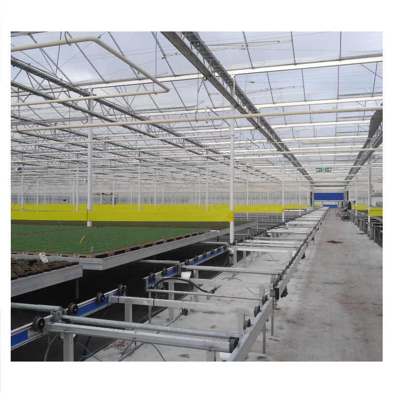 Agricultural Single-Span Tunnel Type Film Blackout Mushroom Greenhouse for Medical Plants and Mushroom