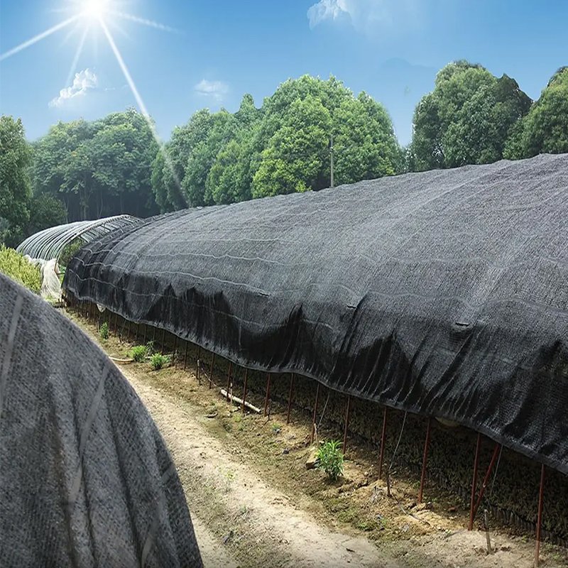 Low price HDPE anti-UV agricultural shade net sun shade mesh cover for greenhouse