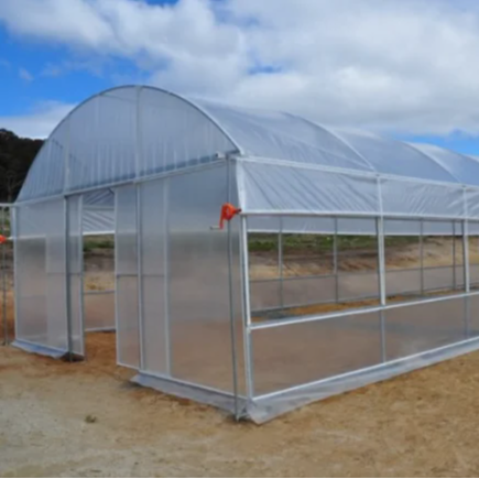 Agriculture Used Poly Tunnel\plastic Film Greenhouse Tent Transparent Customize Hot Dip Galvanized Pipe Large Irrigation Zewo
