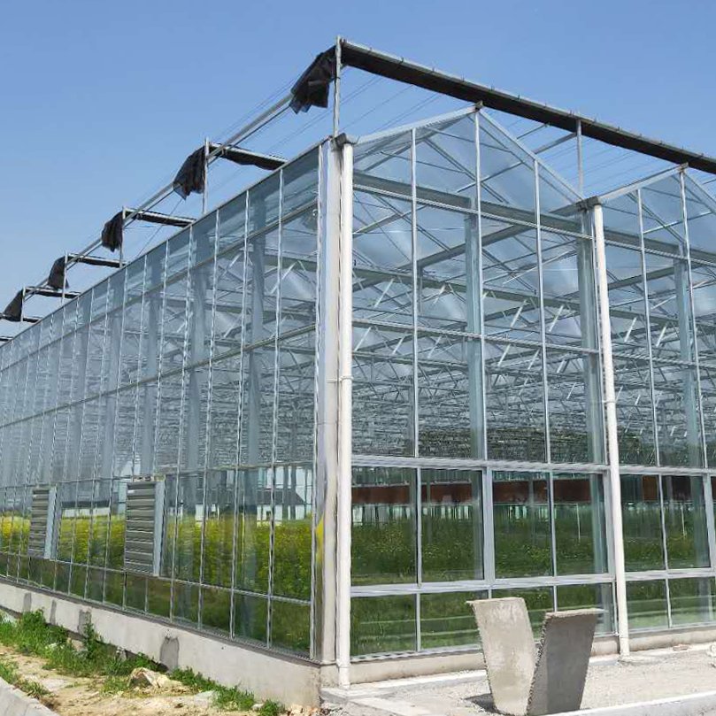 Special Offer Agriculture Greenhouse Agriculture Greenhouse Garden Greenhouse